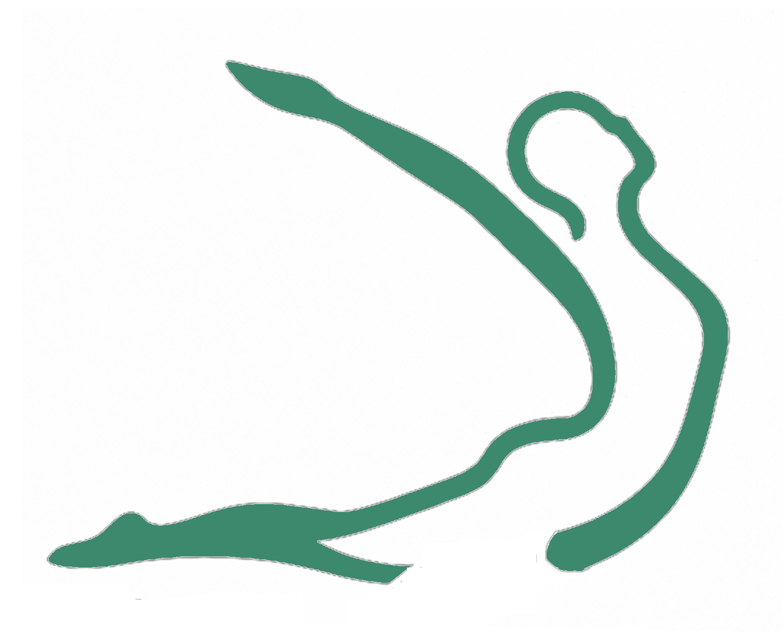 El Equipo de Syncori